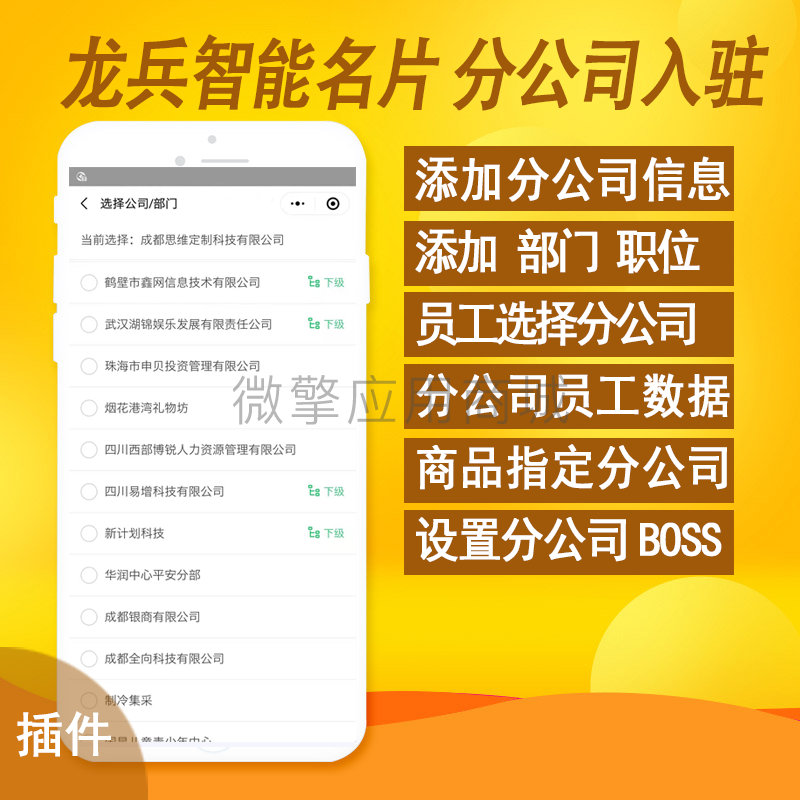 商城V分公司小程序制作，商城V分公司网站系统开发-第2张图片-小程序制作网