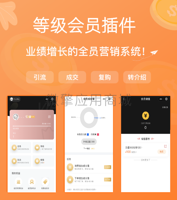 商城V等级会员小程序制作，商城V等级会员网站系统开发-第2张图片-小程序制作网