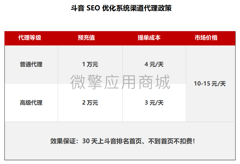 SEO按天计费多开版小程序制作，SEO按天计费多开版网站系统开发-第4张图片-小程序制作网