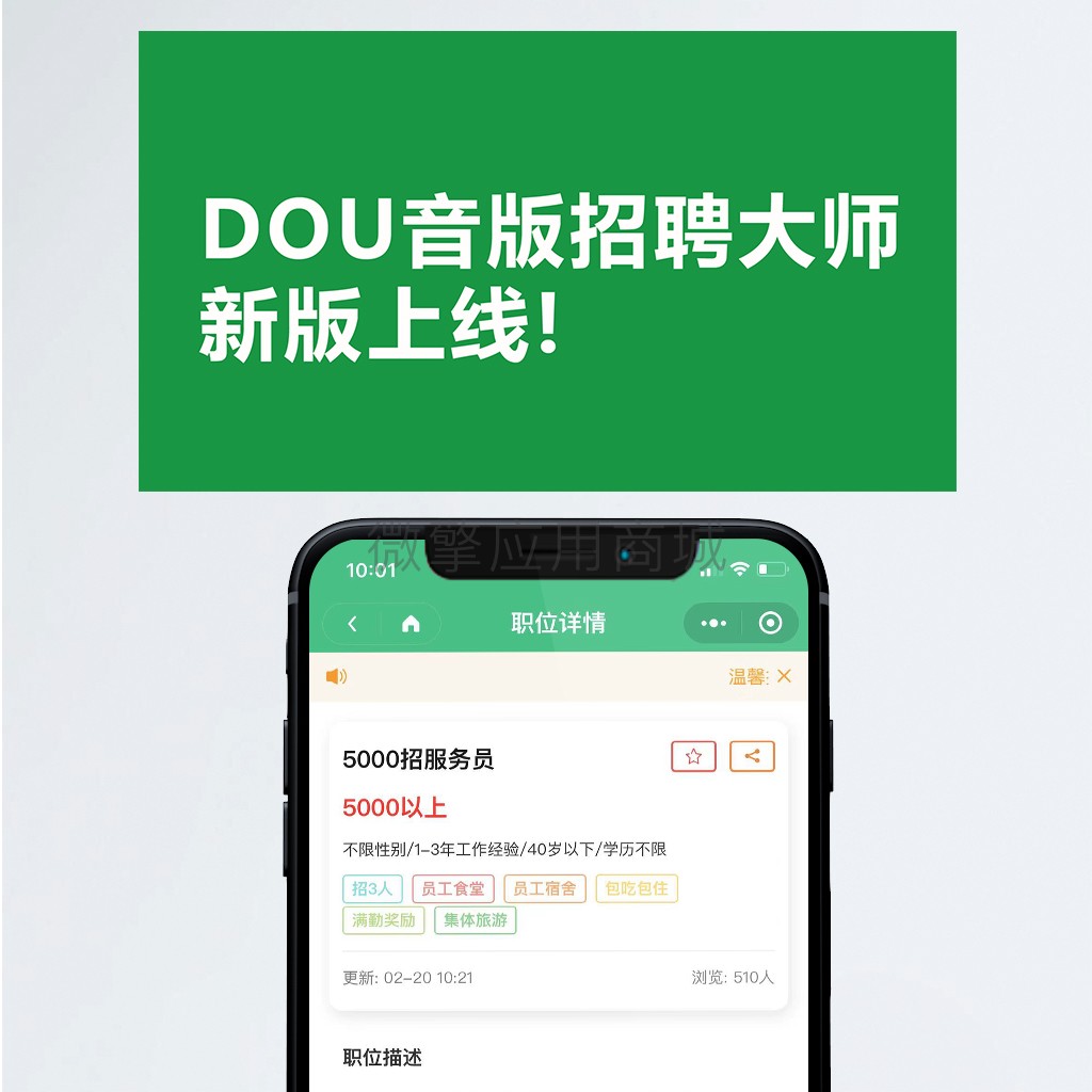 头条DOU音招聘大师小程序制作，头条DOU音招聘大师网站系统开发